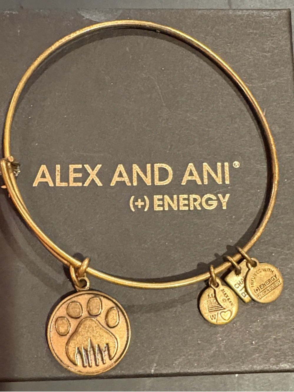 Alex and Ani Gold Paw Print Charm Bangle